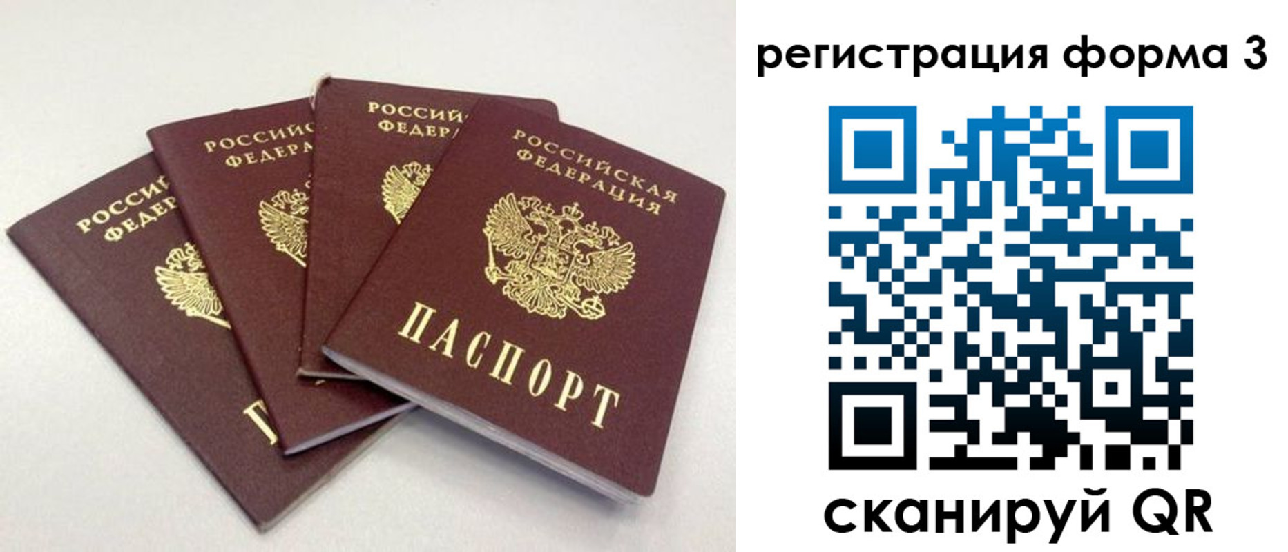 прописка 2025 в Оленегорске